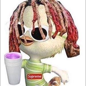 Meet your Posher, Dylan